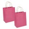 250 Pcs Durable Kraft Paper Bags with Stylish Shadow Stripe Design 6" x 3 1/4 " x 8 3/8"